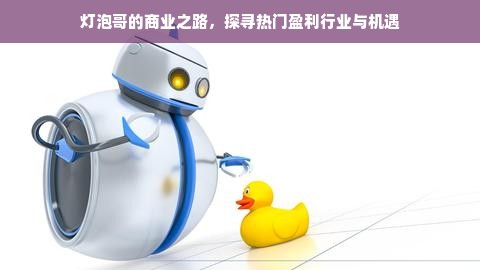 灯泡哥的商业之路，探寻热门盈利行业与机遇