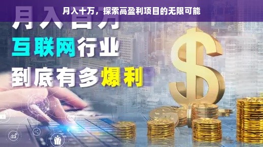 月入十万，探索高盈利项目的无限可能