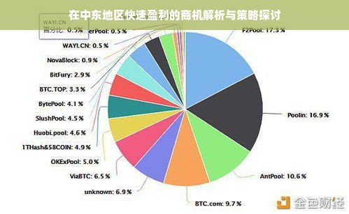 在中东地区快速盈利的商机解析与策略探讨