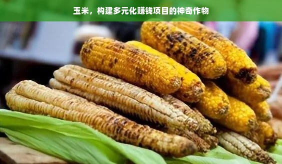 瑞士豪华家电品牌大全—品质与精工的代表