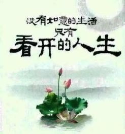 岁月不老人生的新篇章，55岁女性的职业选择与赚钱之道