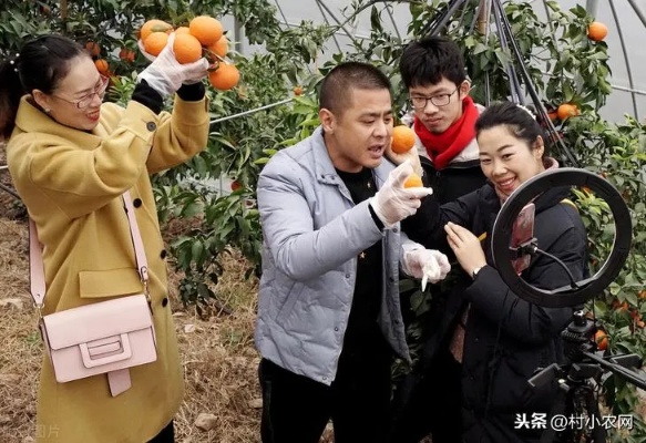 农人九根创新美食之路，探索乡村美食赚钱新篇章