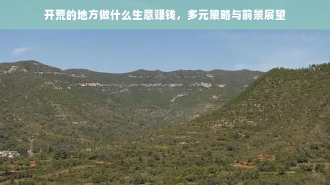 开荒的地方做什么生意赚钱，多元策略与前景展望