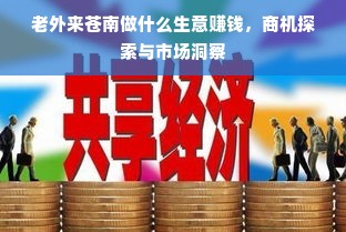 老外来苍南做什么生意赚钱，商机探索与市场洞察