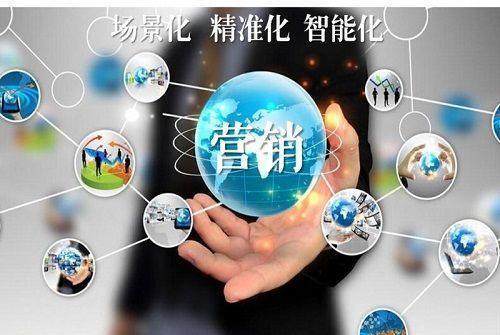 老外来苍南做什么生意赚钱，商机探索与市场洞察