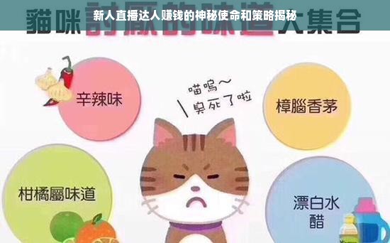 玩转鹿优选额度，你的钱包自主权，自己说了算！
