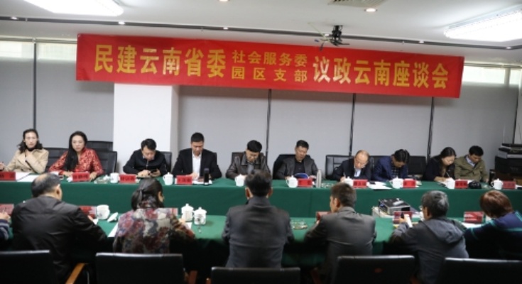 探索云南民盟的商业之道，繁荣经济的商机解析