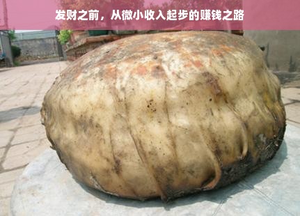 发财之前，从微小收入起步的赚钱之路
