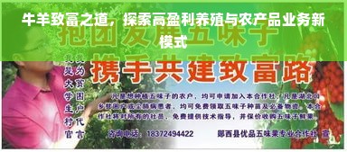 牛羊致富之道，探索高盈利养殖与农产品业务新模式