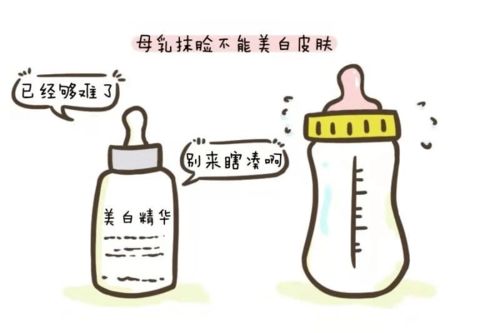 福建英语早教加盟机构，探索成功之路与前景展望