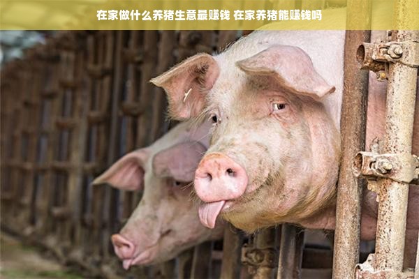 网红母婴品牌，聚焦新时代母婴护理的热门之选