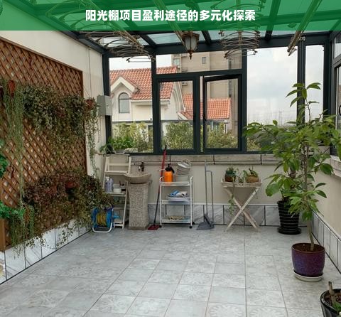 羊小咩便荔卡额度如何巧妙套现？揭秘额度关闭的神秘途径