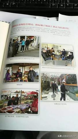 母婴电饭煲品牌解析，选购指南与实用案例分享