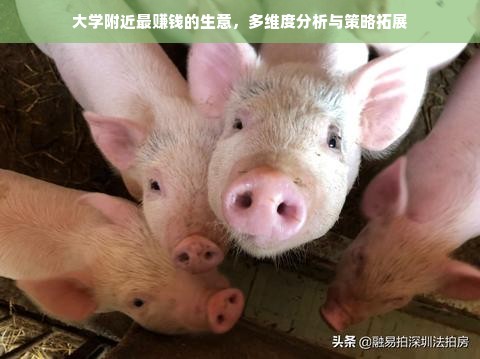 大学附近最赚钱的生意，多维度分析与策略拓展
