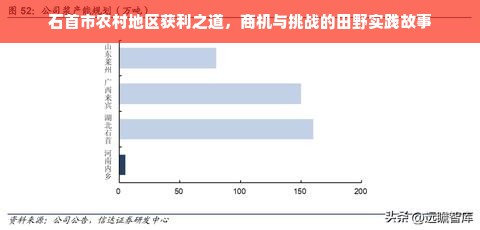 石首市农村地区获利之道，商机与挑战的田野实践故事