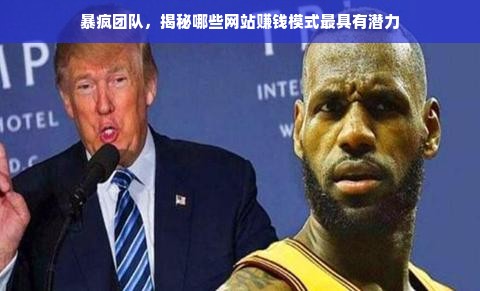 暴疯团队，揭秘哪些网站赚钱模式最具有潜力