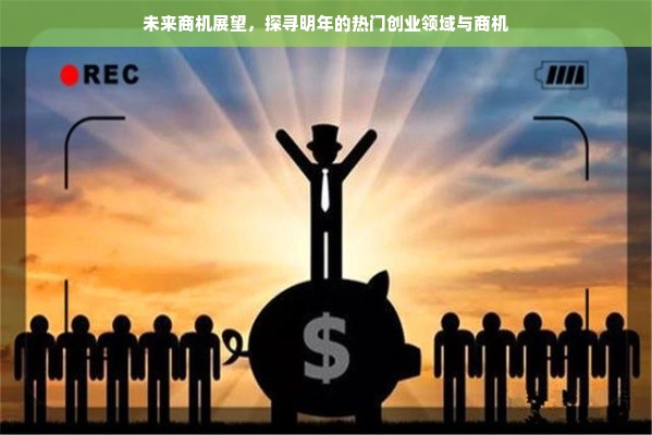 京东白条额度操作详解，如何提升额度及取消临时额度？