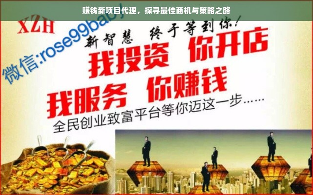 赚钱新项目代理，探寻最佳商机与策略之路