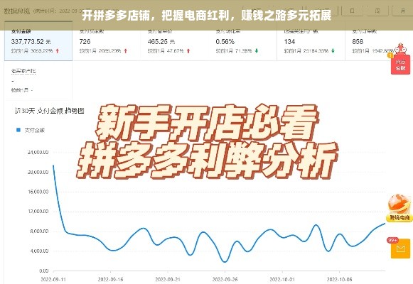开拼多多店铺，把握电商红利，赚钱之路多元拓展