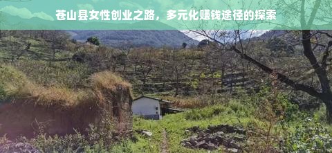 如何高效利用京东白条额度进行提现？