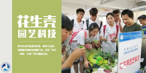 居家中赚取收入的无限可能，创业之路在脚下的灵感与创新探索
