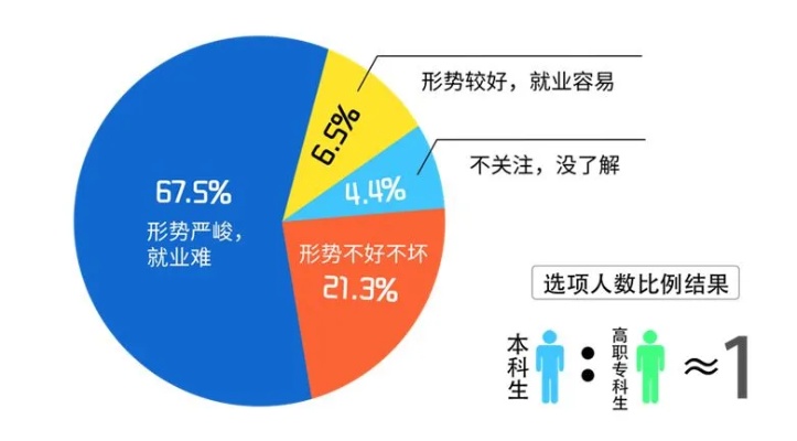 环境恶劣背景下择业新途径，如何借助优势寻求高收入？