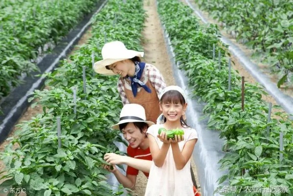饿了么小票打印机品牌设计，打造高效便捷的美食配送助手