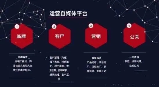 益阳靠谱的早教亲子加盟，打造孩子成长的黄金起点