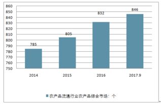 金莎携手舞蹈鞋品牌，舞动青春，绽放光芒！