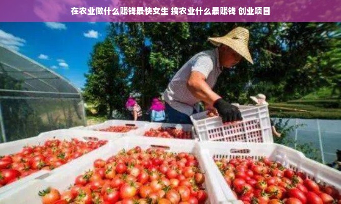 在农业做什么赚钱最快女生 搞农业什么最赚钱 创业项目