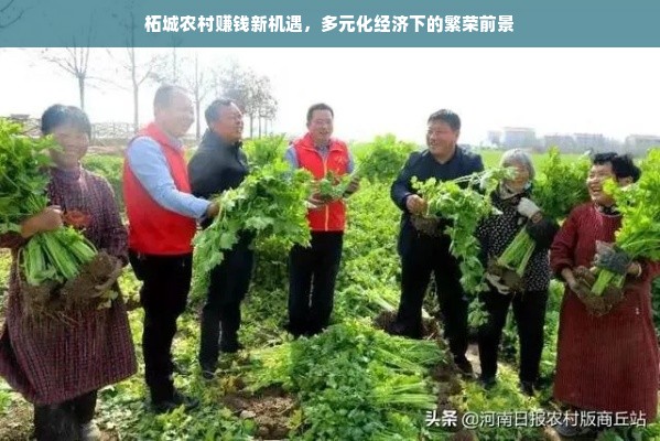 苏宁家电自营品牌，品质与创新的完美结合