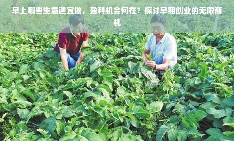 桃多多桃享卡额度提现与领额度全攻略，手把手教你轻松拿补贴！