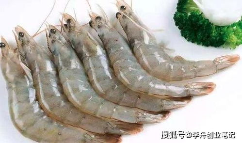 农村趣味事业，探索赚钱新途径