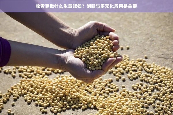 风控微信分付额度取现操作指南