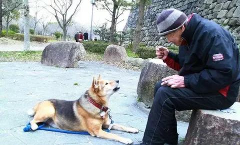 羊小咩便荔卡额度提现与降低金额度攻略详解