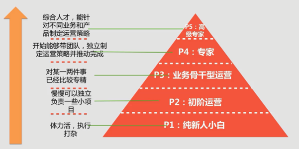 母婴领先品牌排行前十名，深度解析与案例分享