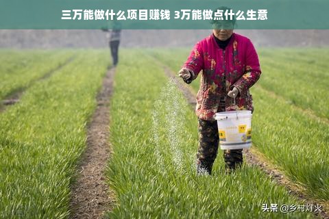 三万能做什么项目赚钱 3万能做点什么生意