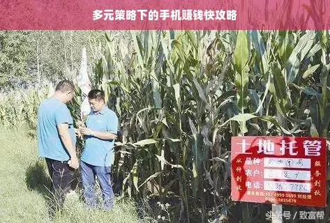 独居做饭不翻车！这些厨具品牌让我从厨房小白逆袭成美食博主