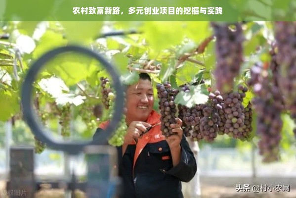 幼儿园早教项目加盟费详解，从入门到精通