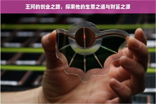 王珂的创业之路，探索他的生意之道与财富之源