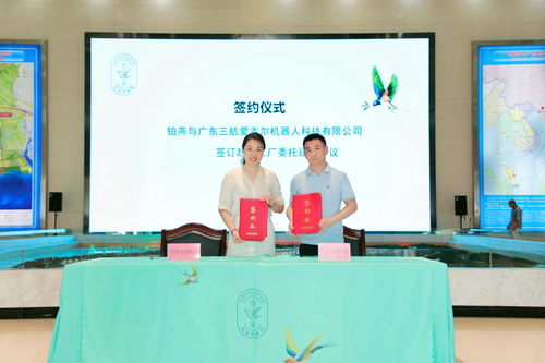 广西做什么加工厂赚钱，探索与机遇分析