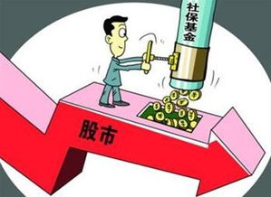 🔥大品牌厨具直播平台盘点，直播带货，厨房好物一网打尽！