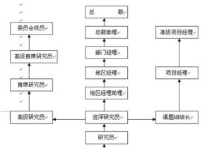 女生外贸之路，如何选择最佳职业路径以赚取可观收入