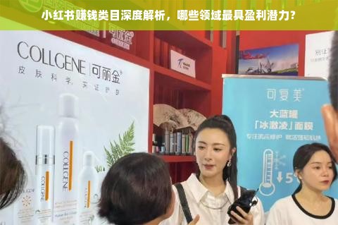 小红书赚钱类目深度解析，哪些领域最具盈利潜力？