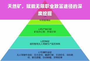天然矿，赋能无限职业致富途径的深度挖掘