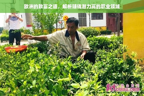 网红小家电品牌，新潮、实用与个性化并行的时代