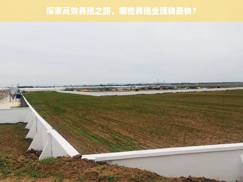 探索高效养殖之路，哪些养殖业赚钱最快？