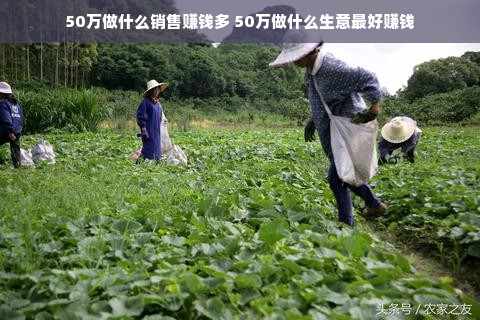 50万做什么销售赚钱多 50万做什么生意最好赚钱