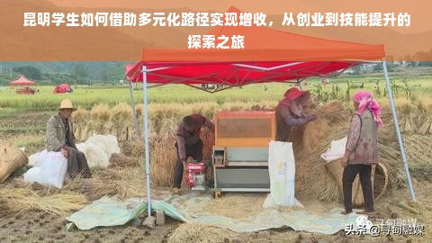 昆明学生如何借助多元化路径实现增收，从创业到技能提升的探索之旅