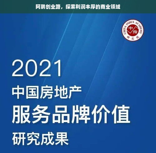 阿鹏创业路，探索利润丰厚的商业领域